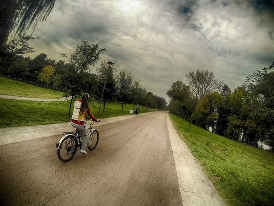Catedrala Sfântul Sava din Belgrad